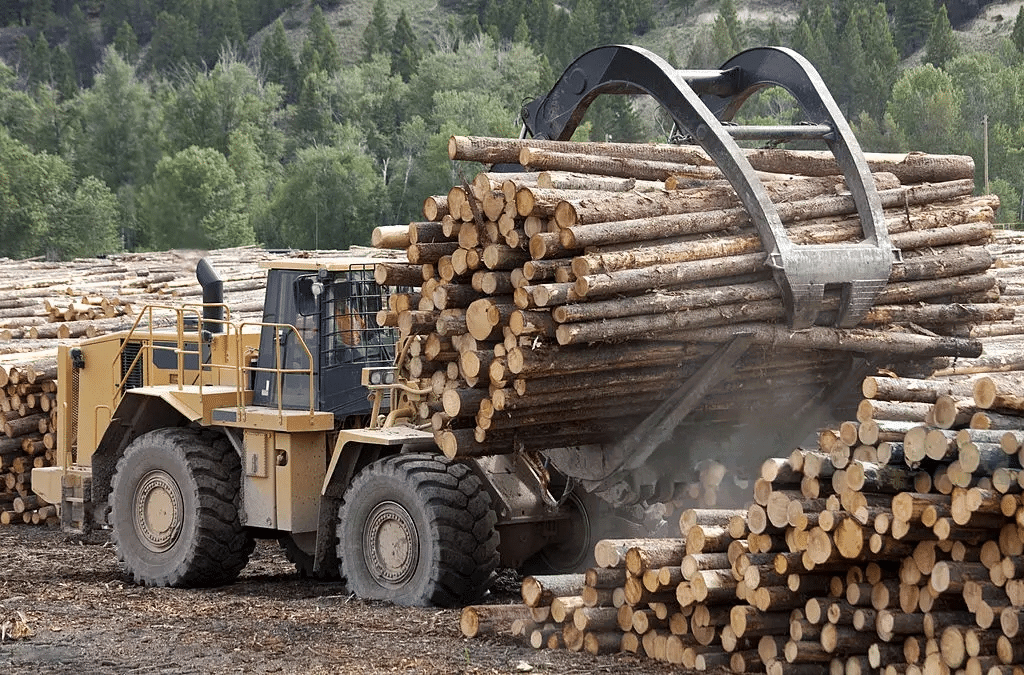 Forestry — used machines for sale