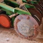 Amazone AD 301 Special Planting - Grain Drill for sale — view 5