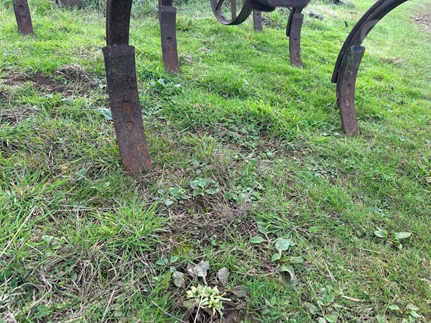 Bomford Tillage - Cultivator for sale — view 4