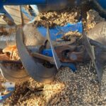 2010 Brandt Grain Auger for sale — view 5