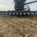 2023 Capello Header - Row Crop for sale — view 2
