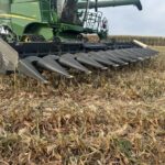 2023 Capello Header - Row Crop for sale — view 3