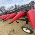 2020 Capello Quasar F8 Header - Row Crop for sale