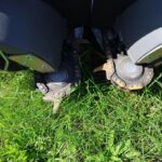 2023 Capello Quasar F8 Header - Row Crop for sale — view 2