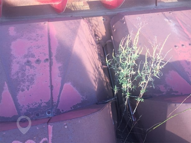 Case IH Header - Row Crop for sale — view 2