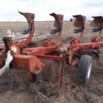 1989 Case IH Tillage - Plough for sale — view 2