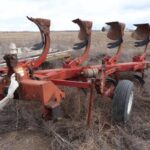 1989 Case IH Tillage - Plough for sale — view 2