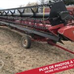2010 Case IH Header - Platform for sale