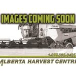 2010 Case IH Header - Platform for sale