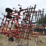 Case IH Tillage - Cultivator for sale — view 5
