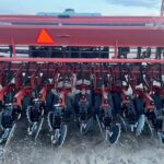 Case IH Planting - Grain Drill for sale