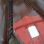 Case IH Harvester - Forage for sale — view 2