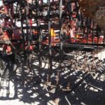 2011 Case IH Tigermate 200 Tillage - Cultivator for sale — view 5