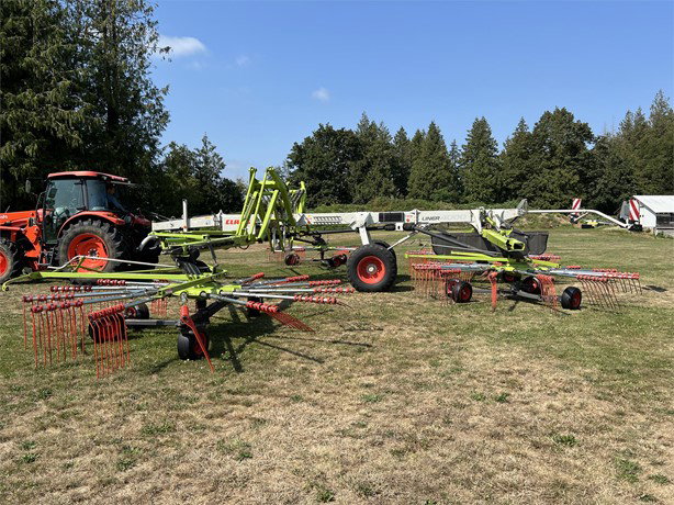 2017 Claas LINER 4000 Hay - Rake for sale — view 3