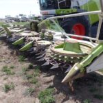 2013 Claas Orbis 900 Header - Forage for sale — view 2