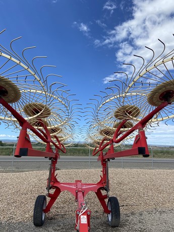 2008 Enorossi Batrake 12 Hay - Rake for sale — view 3