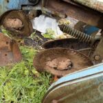 Ford Tillage - Plough for sale — view 3
