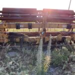 Holly LR38 Tillage - Roller for sale — view 4