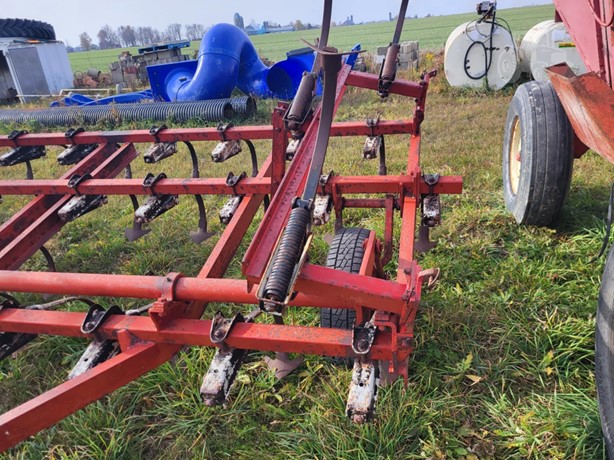 International Tillage - Cultivator for sale — view 2