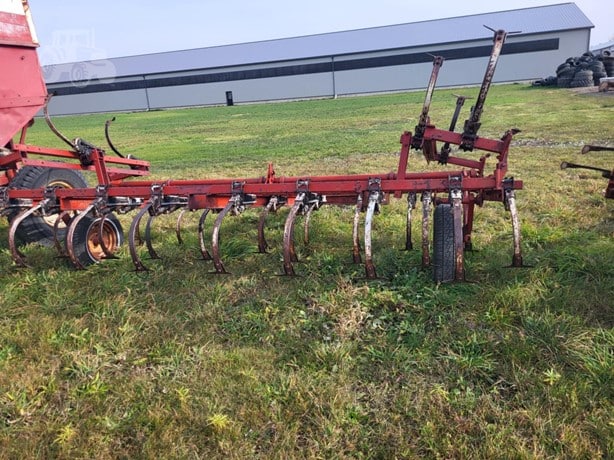 International Tillage - Cultivator for sale — view 5