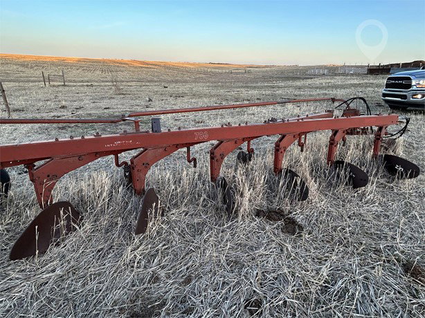 International Tillage - Plough for sale