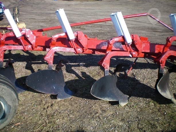 International Tillage - Plough for sale — view 2