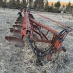 International Tillage - Plough for sale — view 2