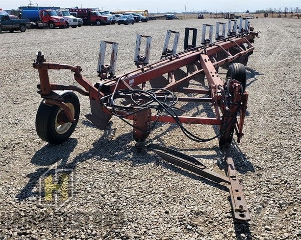 International Tillage - Plough for sale — view 2
