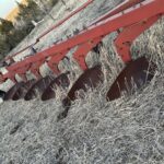 International Tillage - Plough for sale — view 4