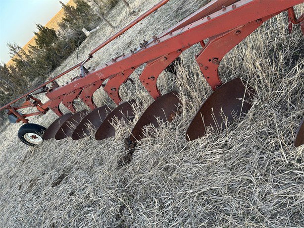 International Tillage - Plough for sale — view 4