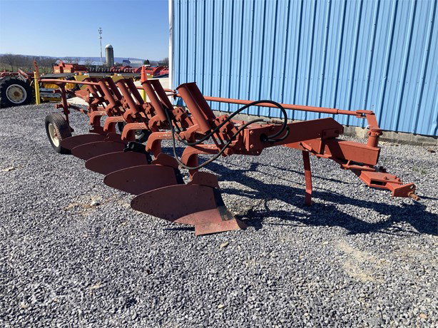 International Tillage - Plough for sale — view 2