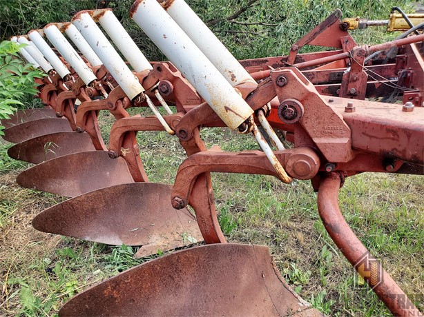 International Tillage - Plough for sale — view 2