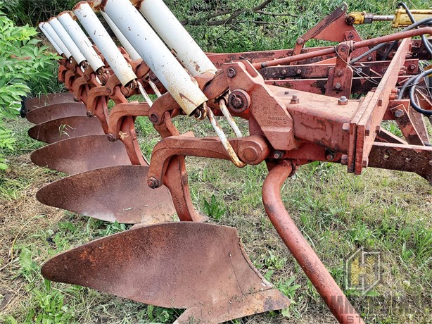 International Tillage - Plough for sale — view 3