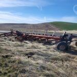 International Tillage - Plough for sale — view 2
