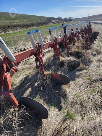 International Tillage - Plough for sale — view 3