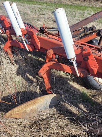 International Tillage - Plough for sale — view 4