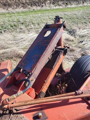 International Tillage - Plough for sale — view 5