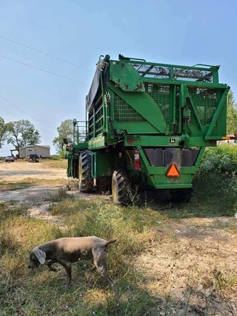 2001 John Deere Cotton Picker for sale — view 5
