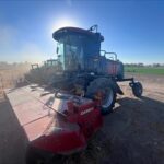 2013 Case IH WD2303 Hay - Mower Conditioner for sale — view 2
