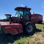 2023 Case IH WD2505 Hay - Mower Conditioner for sale — view 3