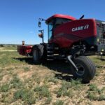 2023 Case IH WD2505 Hay - Mower Conditioner for sale — view 5