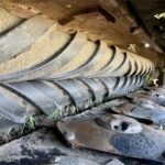 2021 Claas Hay - Mower Conditioner for sale — view 4