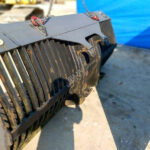 2007 Eurosteel Puinriek SW200 Attachment - Bucket for sale — view 2