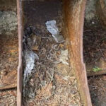 2014 Geith Attachment - Bucket for sale — view 3
