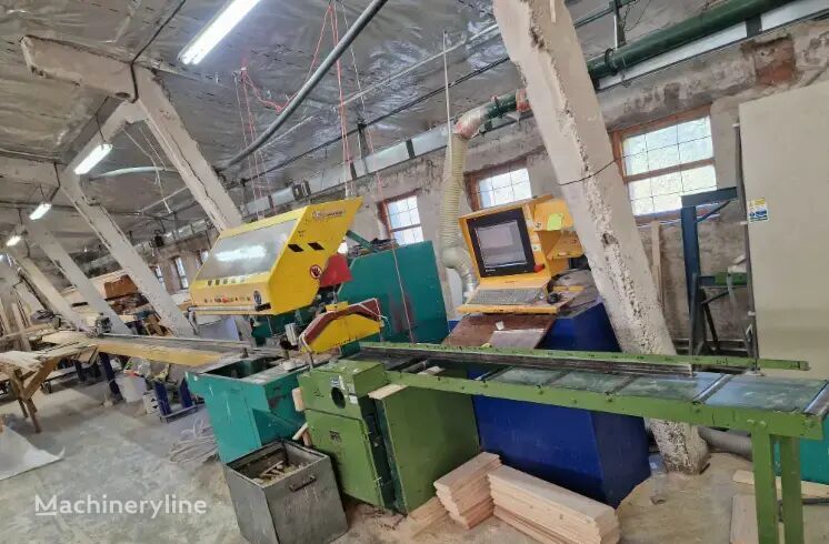 2001 Auer BL100 Wood Saw for sale — view 5