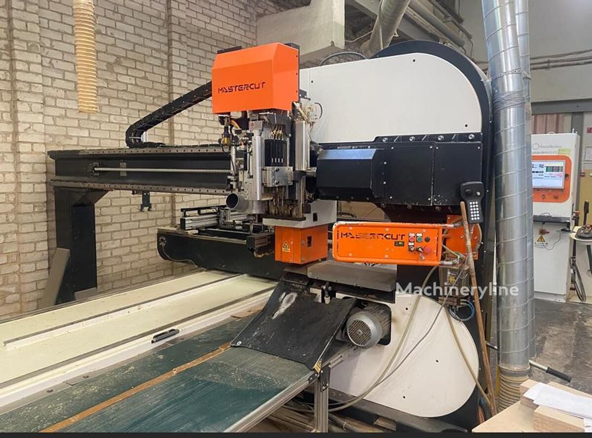 2012 Bacci Master CUT Wood Saw for sale