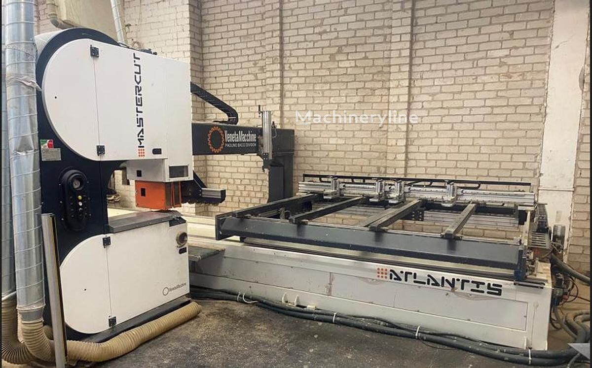 2012 Bacci Master CUT Wood Saw for sale — view 2