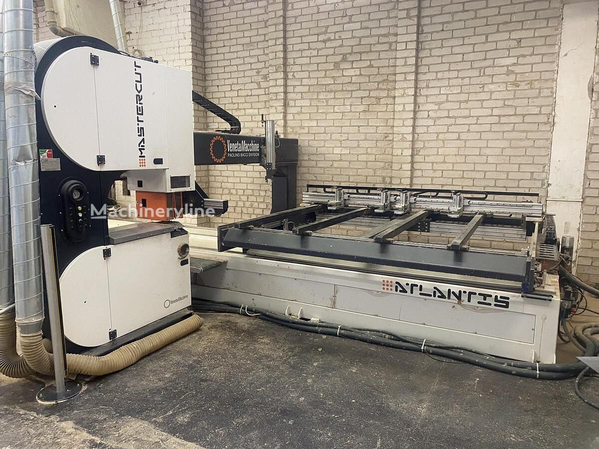 2012 Bacci Master CUT Wood Saw for sale — view 3