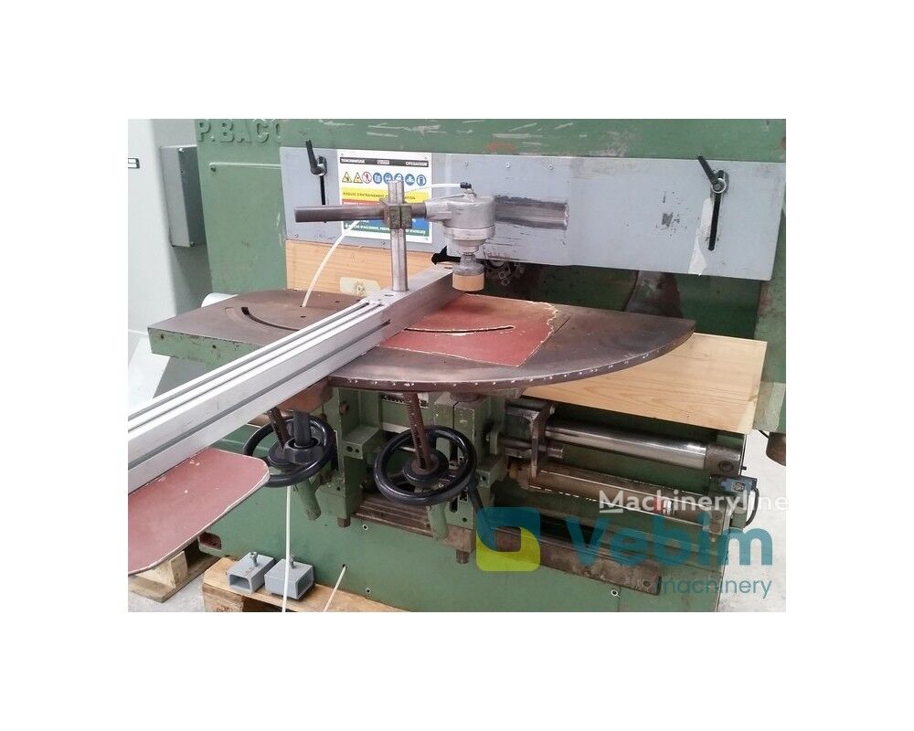 1990 Bacci TSG.2T Wood Saw for sale — view 2