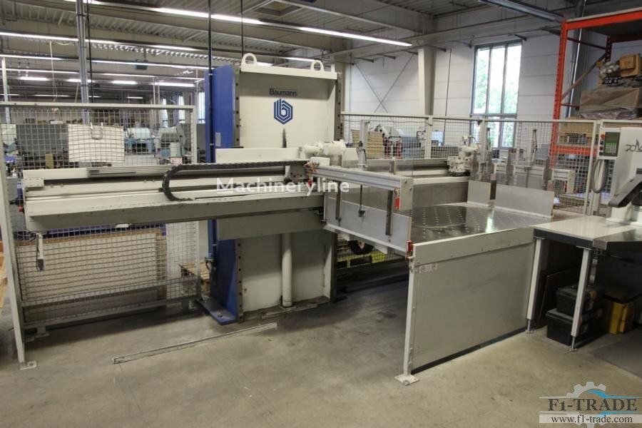 2003 Baumann BA 6 Pile Lifter for sale